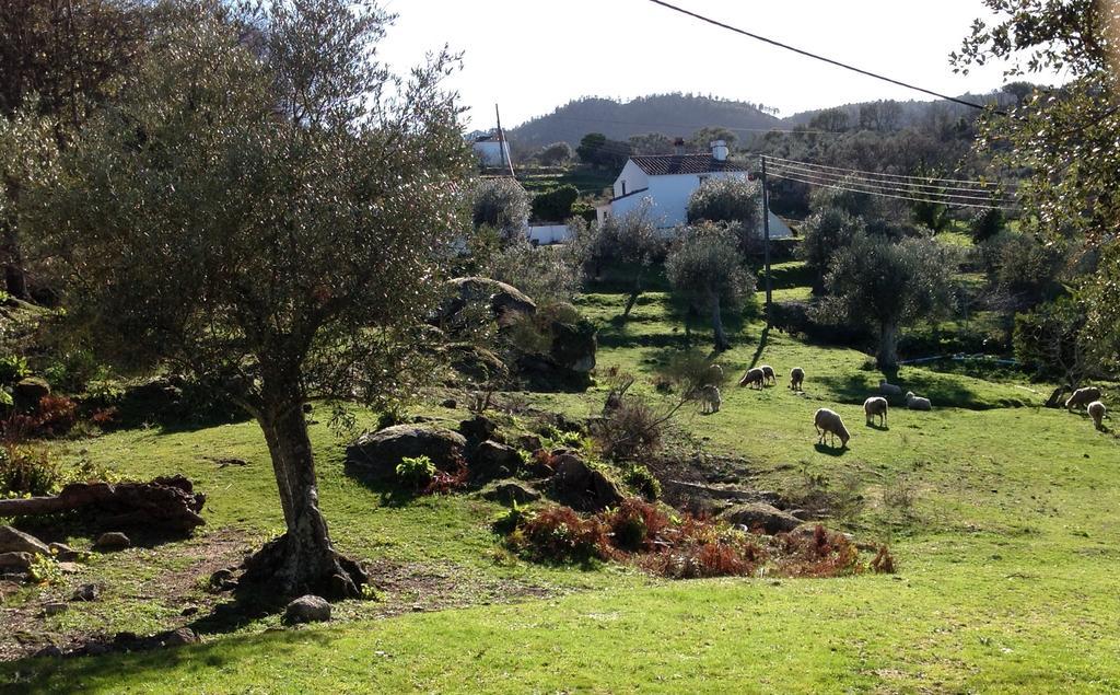 Refugio Da Maceira Villa Marvão Exteriör bild