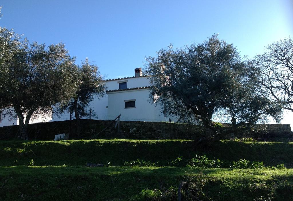 Refugio Da Maceira Villa Marvão Rum bild