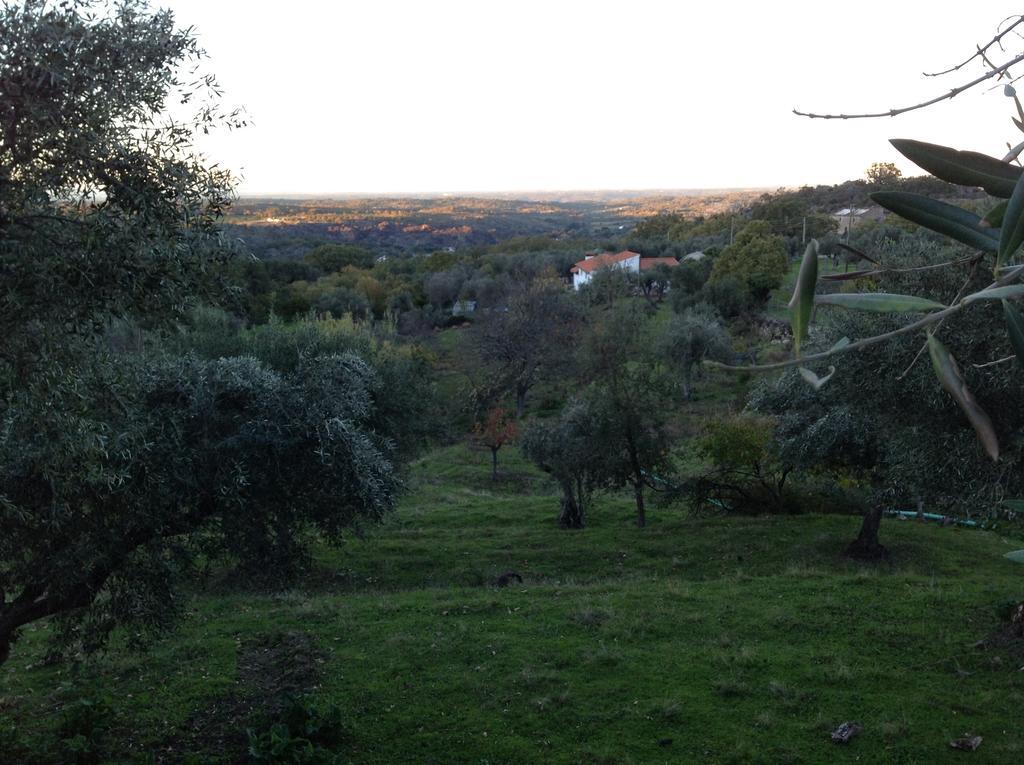 Refugio Da Maceira Villa Marvão Rum bild